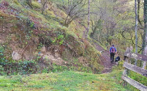 Ruta al Maoñu
