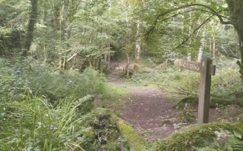 Ruta de los molinos de Cuevas del Agua